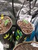 20201029_225747.jpg 20201029_225747.jpg