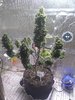 IMG_20201030_090739922.jpg