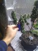 IMG_20201030_090803527.jpg
