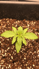 6269ADF7-CC18-4F6F-838F-ADCEAA72B3BB.png