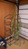 20201006_112911.jpg