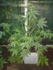 20130620_211545.jpg