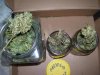 100_2274.jpg