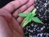 IMG_20130621_163320.jpg