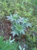 20130622_203656.jpg