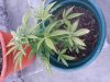 20130623_211103.jpg