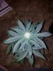 20130623_194054.jpg