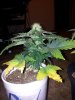 20130623_194122.jpg