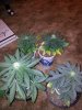 20130623_194220.jpg