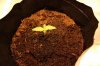 MOBY_6-23-13 1.jpg