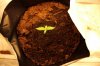 CHEESE_6-23-13 1.jpg