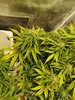 IMG_20201103_174036.jpg