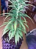 20201106_221622.jpg