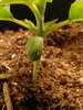 20201106_143345.jpg