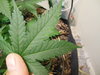 DSCN0496.JPG