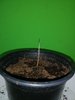 IMG_20201114_105650.jpg