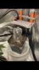 7B36B963-7AB7-4EB6-82C1-30B15424FF76.png