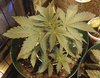 IMG_20201118_085829~2.jpg