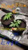 20201120_124822.png
