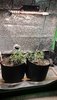20201120_115949.jpg