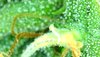 BBE57CCB-0FCD-4AD9-A1DE-3062D40533F3.jpeg
