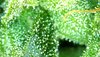 D5EC7018-707C-4EBD-B089-D66807BDC6AE.jpeg