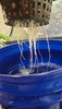 20201109_154217.jpg