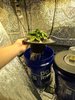 20201111_215528.jpg