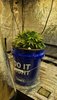 20201118_100651.jpg