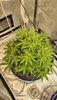 20201124_103248.jpg
