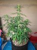 20201126_161453.jpg