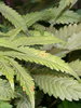 20201127_145542.jpg