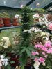 2013-06-22 11.34.16.jpg