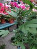2013-06-22 11.34.44.jpg