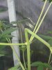 20130621_183209.jpg 20130621_183209.jpg