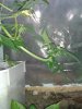 20130625_200053.jpg 20130625_200053.jpg