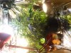 DSCN2085.jpg DSCN2085.jpg