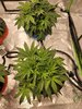 20201122_231029s.jpg