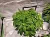 20201125_183229s.jpg