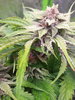 20201202_090304.jpg