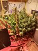 20201203_152445.jpg