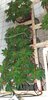 20201203_204828.jpg