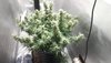 20201204_115854.jpg 20201204_115854.jpg