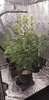 20201203_092353.jpg