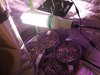 20201209_235441.jpg