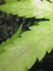 IMG_20201223_182755.jpg