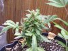 100_2492.jpg