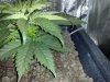 20130630021.jpg