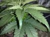 20130630024.jpg