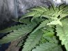 20130630025.jpg